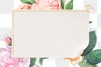 Pink cabbage rose pattern on a gold frame design element