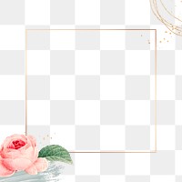 Pink cabbage rose pattern on a gold frame design element