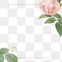 Pink cabbage rose pattern on a gold frame design element