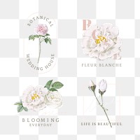 Florist branding logo collection transparent png