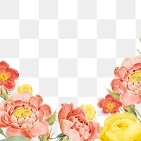 Blooming floral background design transparent png