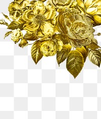 Golden roses themed border template transparent png
