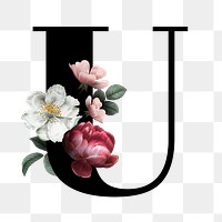 Classic and elegant floral alphabet font letter U transparent png