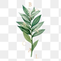 Tropical botanical leaves logo illustration
