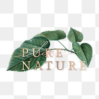 Botanical pure nature logo illustration