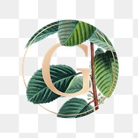Botanical badge with letter G illustration
