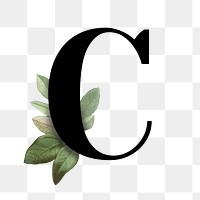 Botanical capital letter C transparent png