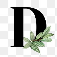 Botanical capital letter D transparent png