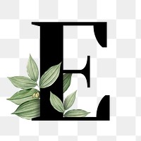 Botanical capital letter E transparent png