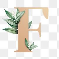Botanical capital letter F transparent png