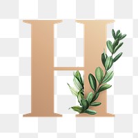 Botanical capital letter H transparent png