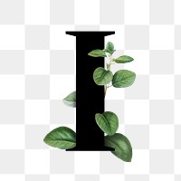 Botanical capital letter I transparent png