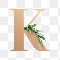 Botanical capital letter K transparent png