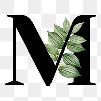 Botanical capital letter M transparent png