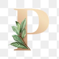 Botanical capital letter P transparent png