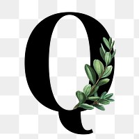 Botanical capital letter Q transparent png