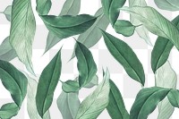 Hand drawn tropical leaves background transparent png