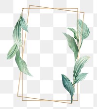 Gold frame decorated with hand drawn tropical leaves poster transparent png