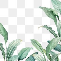 Hand drawn tropical leaves PNG transparent background