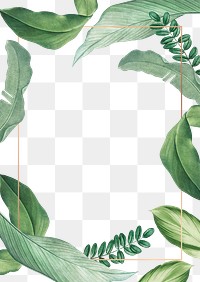 Hand drawn tropical leaves white poster transparent png