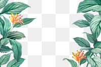 Hand drawn tropical leaves on a white background transparent png