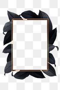 Black leaves with golden rectangle frame design element