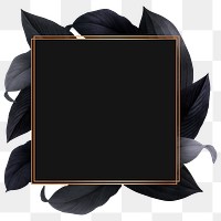 Black leaves with square frame design element