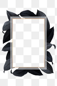 Black leaves with golden rectangle frame design element