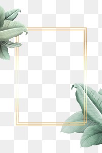 Green leaves with golden rectangle frame design element