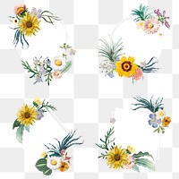 Vintage floral frame png hand drawn collection