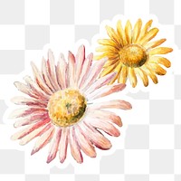 Daisy vintage png sticker pink and yellow flower