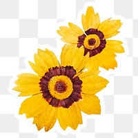 Coreopsis watercolor yellow flower sticker