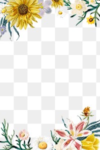 Floral border hand drawn png