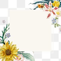 Summer floral border png frame