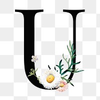 Elegant alphabet U png floral typography