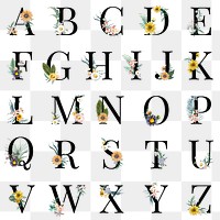 Alphabet png floral font collection