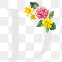 Flower decorated capital letter D typography