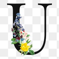 Flower decorated capital letter U typography