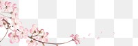 Pink cherry blossom flower branch border frame transparent background banner