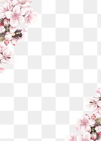 Cherry blossom flower border frame on transparent background