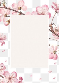 Rectangular pink cherry blossom flower bouquet border frame on transparent background