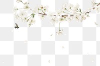 White azalea flower branch border frame on transparent background