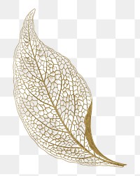 Gold leaf png sticker, aesthetic nature illustration on transparent background