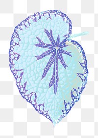 Blue leaf png sticker, aesthetic nature illustration on transparent background