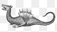 Vintage dragon illustration png, remixed from artwork by Athanasius Kircher.