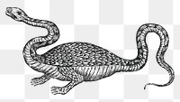 Vintage dragon illustration png, remixed from artwork by Athanasius Kircher.
