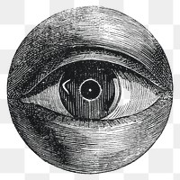 Vintage eye drawing png, remixed from artwork by Isaac Weissenbruch.