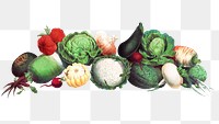 Vintage vegetables design element