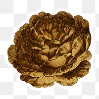 Vintage gold rose flower design element