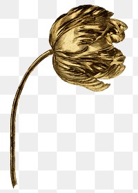 Vintage gold flower design element